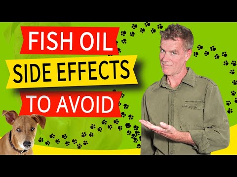 5 Fish Oil For Dogs Side Effects To AVOID (And The Simple Solution)