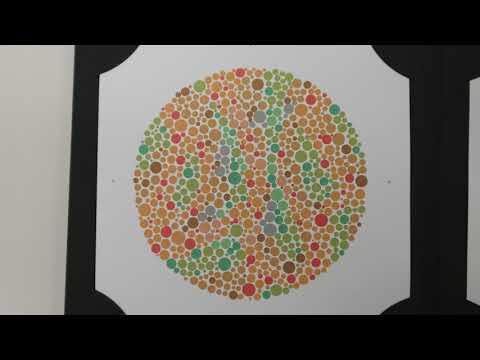 Video 6: The Ishihara Test for Colour Vision
