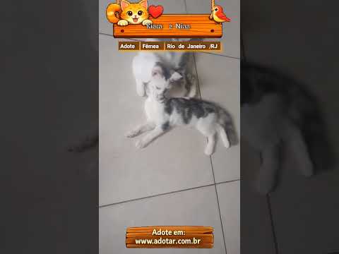 Vídeo de Kiara e Nina