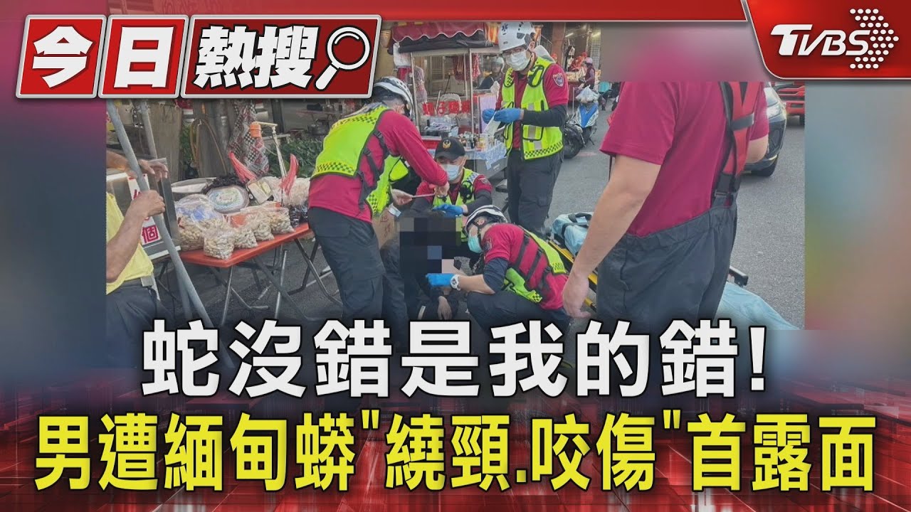 蛇沒錯是我的錯! 男遭緬甸蟒「繞頸、咬傷」首露面