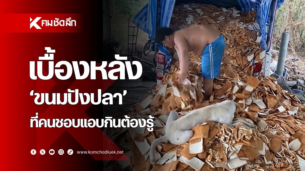 เบื้องหลัง 'ขนมปังปลา' ที่คนชอบแอบกินต้องรู้
