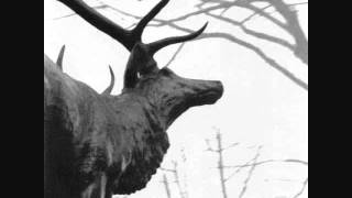 Agalloch - You Were But A Ghost In My Arms