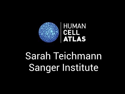 Sarah Teichmann at the Human Cell Atlas Computational Methods meeting - Stockholm, 1-2 June 2017