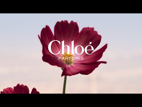 Chloé Nomade Nuit d'Égypte