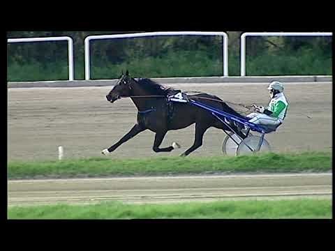 Napoli Trotto 12/03/2021 - 5ª corsa