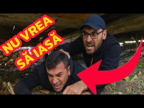 PANICĂ LA CĂSUȚĂ! Costică a dispărut sub cabană și refuză să iasă 😂