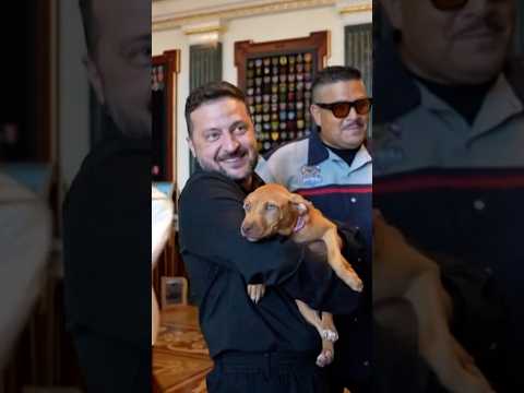 Ukrainian President Volodymyr Zelenskyy gifted puppy