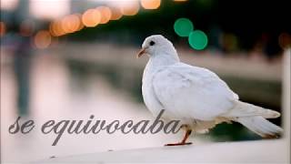 La paloma (Ana Belén)  - Rafael Alberti