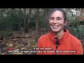 Iris is heel handig met een kettingzaag