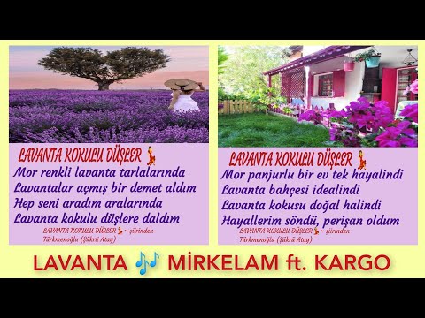 LAVANTA KOKULU DÜŞLER💃 ŞİİR ✍️ LAVANTA 🎶 MİRKELAM ft. KARGO