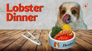 Can You Feed Lobster to a Dog? 🐶| Dog Eating a Lobster Tail for Dinner