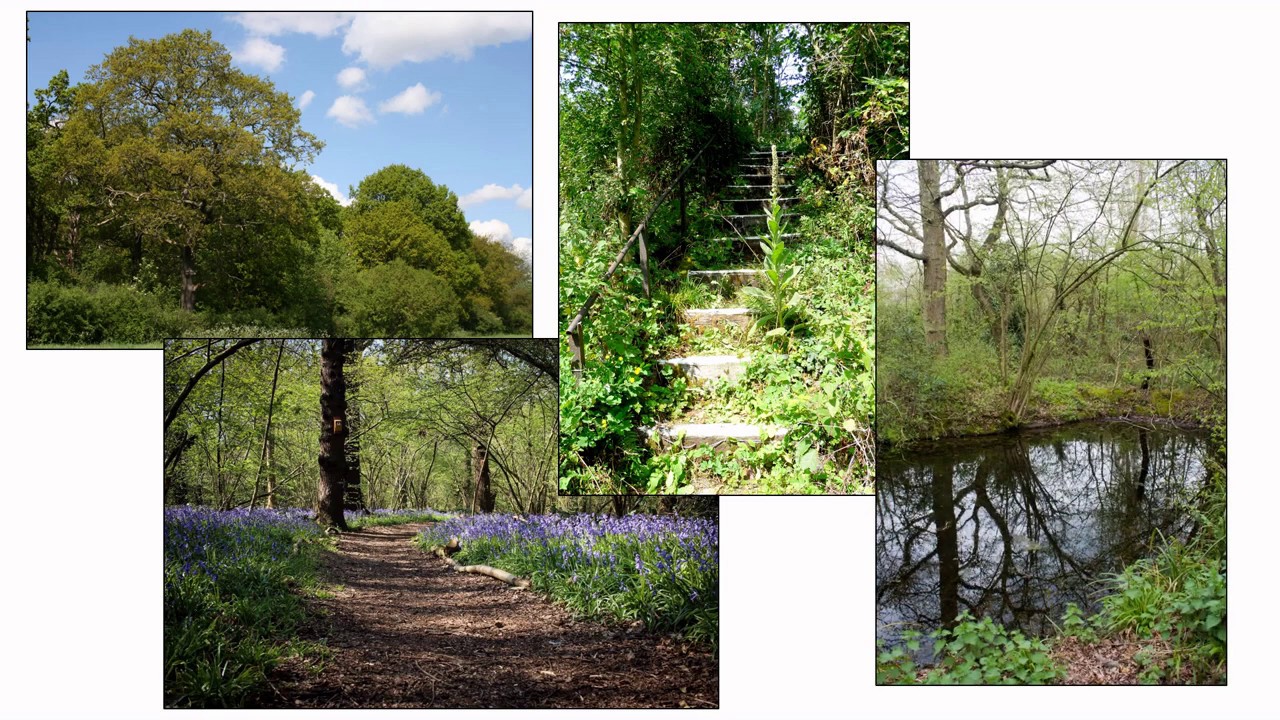 The Selborne Society