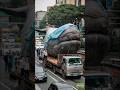 Taiwan Whale Explosion