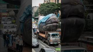 Taiwan Whale Explosion