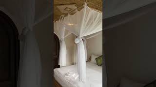 Đi Ninh B&igrave;nh th&igrave; ở đ&acirc;u? Ninh B&igrave;nh retreat #shorts