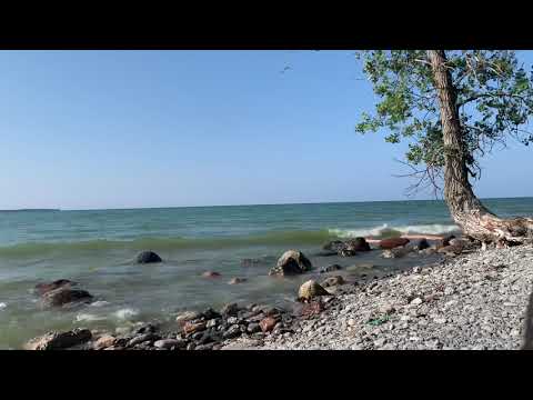 Mind Appreciation Meditation 