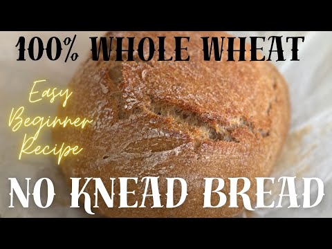 100% Whole Wheat Dutch Oven Bread Recipe  4 Ingredients No Knead Beginner Bread Cheap Easy #recipe