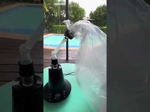 Scoop the Arizer XQ2 - Hits Smooth Looks Sleek - #420Sale