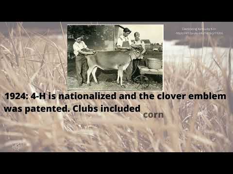 The History of 4-H