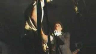 Babyshambles - What Katie Did