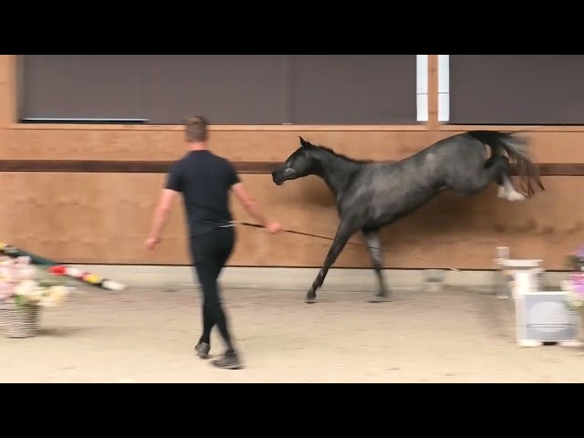 jumping