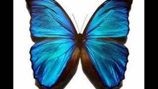 Cauterize - Closer - accoustic