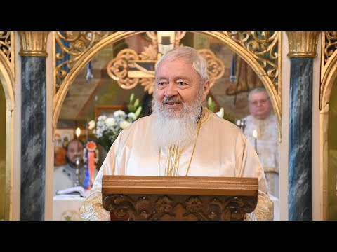 Mitropolitul Andrei: „Orbire spirituală”
