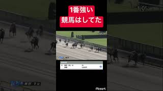 【惜しい】1番強い競馬はしてた #競馬