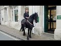 Man Rides Horse To Bank