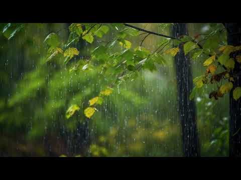 Khúc hát mưa rơi - Unknown