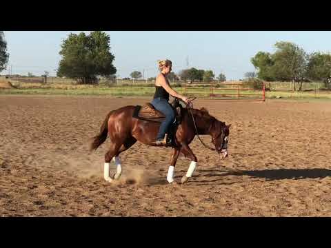 Jyn 2yo by Sniper Smoking Gun