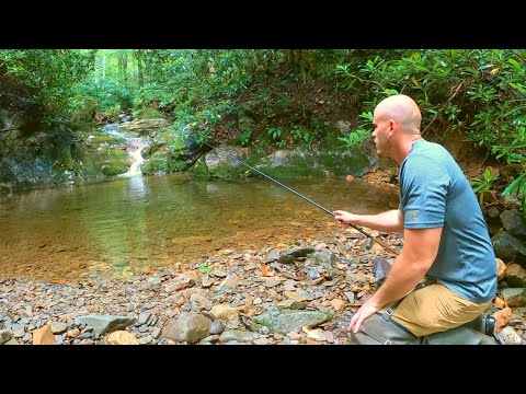 Tiny Stream Fishing & Foraging for Trout, Crawfish & Mushrooms!