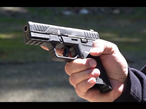 Diamondback AM2 9mm (NEW 2019) - TheFirearmGuy