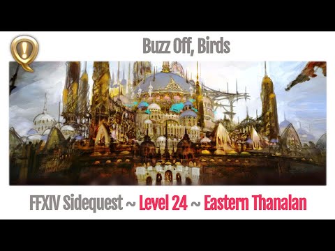 FFXIV Buzz Off, Birds - A Realm Reborn