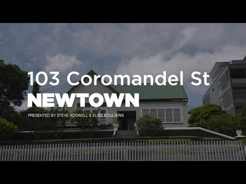 103 Coromandel Street, Newtown - Wellington (Steve Rodwell & Elise Boulieris