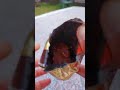 Asmr Ferrero Rocher Ice Cream Pop SatisfyingYummy Delicious Jenniesabel Vlog
