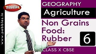 Non Food Crop: Rubber| Agriculture | Geography | CBSE Class 10 Social Sciences
