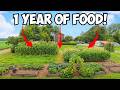 How A 1 8 Acre Garden Feeds A Family Of 6 ALL YEAR