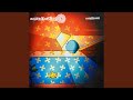 Should Have Known (feat. Lisa Shaw)