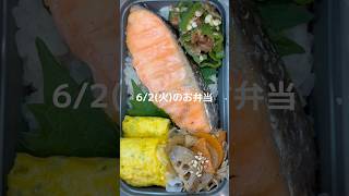 鮭　卵焼き　レンコンのきんぴら　おかかピーマン　#お弁当 #お弁当記録 #旦那弁当 #作り置き #お弁当詰め方