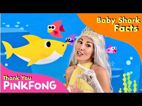 Baby Shark | Baby Shark Facts | 10 Shark Facts | Baby Shark Dance | Baby Shark Challenge | Kids Song