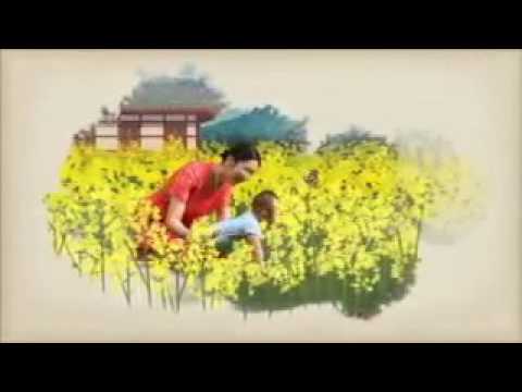 ¿Cómo son nuestros cursos bíblicos?