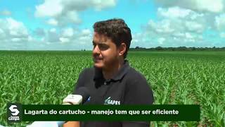 Miniatura do vídeo