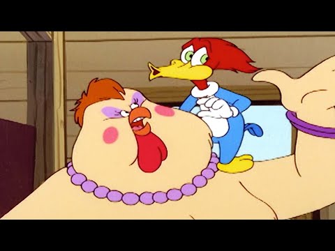 Capa de Pica-Pau | A Galinha Attila  | Episódio Completo