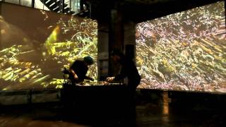 Decay short version.m2t