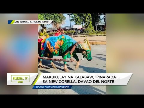 Regional TV News: Makukulay na kalabaw, rumampa sa kauna-unahang karabaw festival