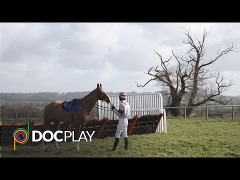 Dark Horse | Official Trailer | DocPlay