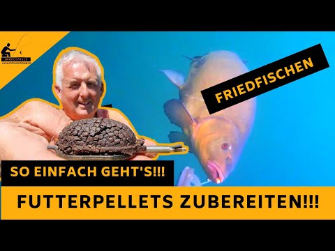 Futterpellets richtig anfeuchten - GANZ SIMPEL