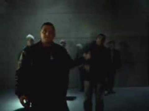 berliner schnauze-bass sultan hengzt