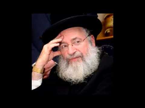 Halachic Doubt and Presumption: When Don't We Assume Isur? | Shiur by Rav Asher Weiss Shlit"a (5785)